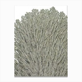 Acropora Granulosa Ii Linocut Canvas Print