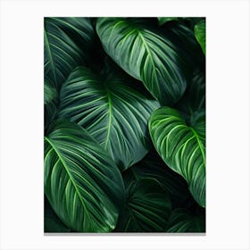 Tropical Leaves Background 4 Canvas Print