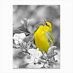 Yellow Bird Canvas Print