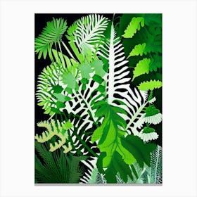 Maidenhair Spleenwort Vibrant Canvas Print