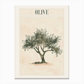 Olive Tree Minimal Japandi Illustration 3 Poster Canvas Print