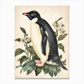 Adlie Penguin Stewart Island Ulva Island Vintage Botanical Painting 1 Canvas Print