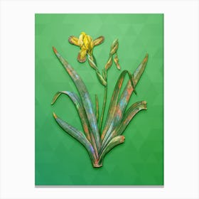 Vintage Hungarian Iris Botanical Art on Classic Green n.0144 Canvas Print