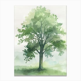 Ash Tree Atmospheric Watercolour Painting 1 Canvas Print