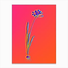 Neon Galaxia Ixiaeflora Botanical in Hot Pink and Electric Blue n.0284 Canvas Print