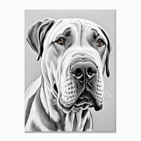 Neapolitan Mastiff B&W Pencil dog Canvas Print