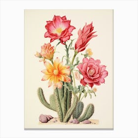 Vintage Cactus Illustration Trichocereus Cactus 1 Canvas Print