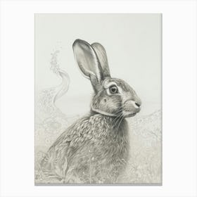 New Zealand Rabbit Drawing 2 Canvas Print