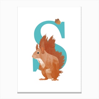 S For Squirrel Canvas Print
