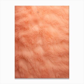 Peach Fuzz Texture 1 Canvas Print
