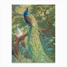 Vintage Peacocks Canvas Print