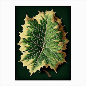 Sycamore Leaf Vintage Botanical 2 Canvas Print