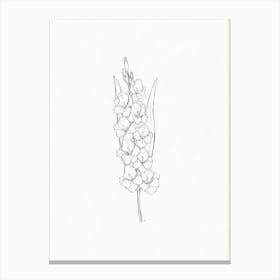 Lily Of The Valley Pencil Sketch Canvas Print