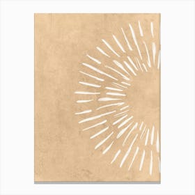 Sunburst 4 Canvas Print