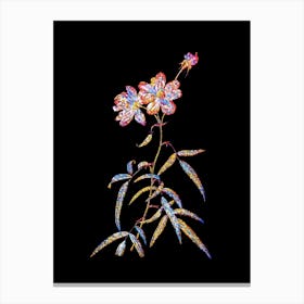 Stained Glass Peach Leaved Rose Mosaic Botanical Illustration on Black n.0097 Canvas Print