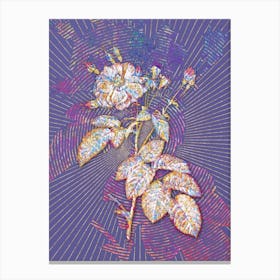 Geometric Harsh Downy Rose Mosaic Botanical Art on Veri Peri n.0266 Canvas Print