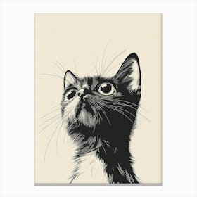 Black Cat 2 Canvas Print