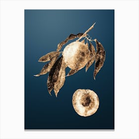 Gold Botanical Peach on Dusk Blue n.3141 Canvas Print