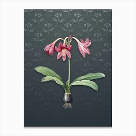 Vintage Netted Veined Amaryllis Botanical on Slate Gray Pattern n.2066 Canvas Print