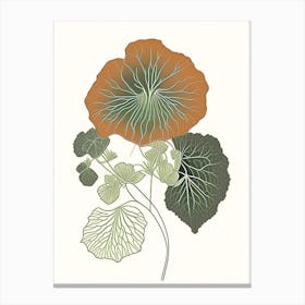 Nasturtium Herb William Morris Inspired Line Drawing 1 Canvas Print