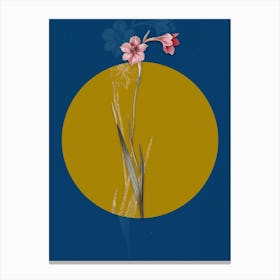 Vintage Botanical Sword Lily on Circle Yellow on Blue Canvas Print