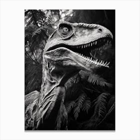 Black And White Photograph Of A Velociraptor 1 Canvas Print