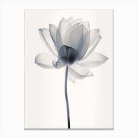 X Ray Flower 2 Canvas Print