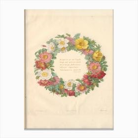 Rose Illustration from Les Roses vol.1, Pierre Joseph Redoute Canvas Print