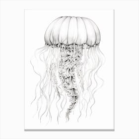 Sea Nettle Jellyfish Cartoon 3 Canvas Print