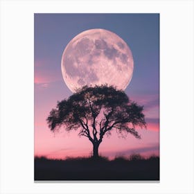 Full Moon In The Sky 1 Canvas Print