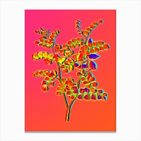 Neon Blood Spotted Bladder Senna Botanical in Hot Pink and Electric Blue n.0251 Canvas Print