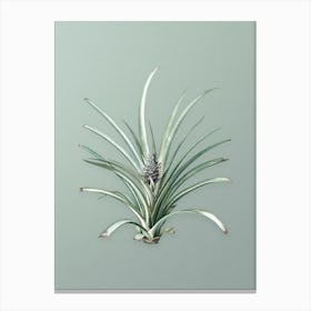 Vintage Pineapple Botanical Art on Mint Green Canvas Print