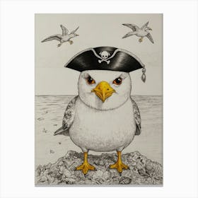 Pirate Seagull 2 Canvas Print