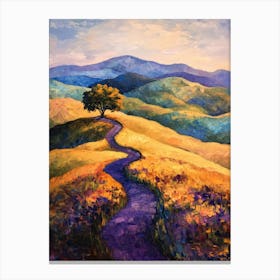 Lone Tree 25 Canvas Print