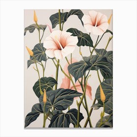 Flower Illustration Morning Glory 4 Canvas Print