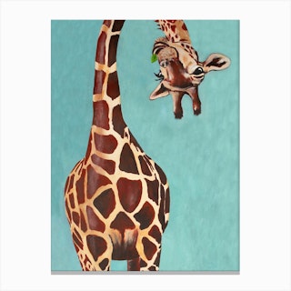 Giraffe With Green Leaf Canvas Print
