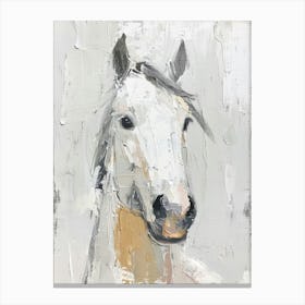 Horse Head 1 Canvas Print