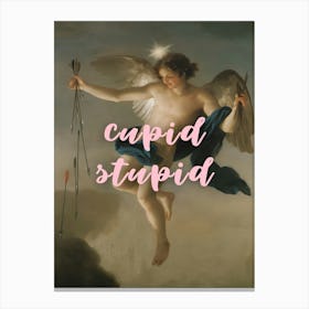 Cupid Stupid Canvas Print