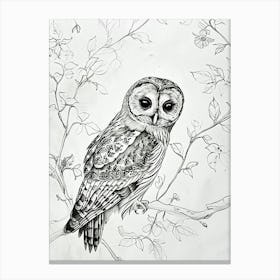 Boreal Owl Marker Drawing 3 Canvas Print