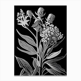 Milkweed Wildflower Linocut 2 Canvas Print