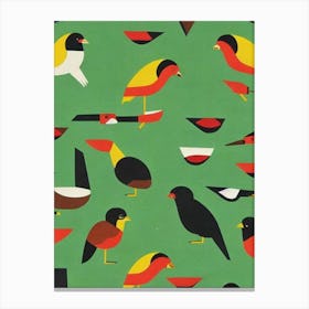 Baldpate Midcentury Illustration Bird Canvas Print