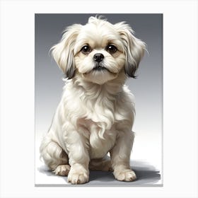 Shih Tzu Canvas Print