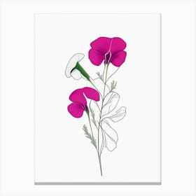 Sweet Pea Floral Minimal Line Drawing 2 Flower Canvas Print