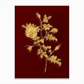 Vintage Silver Flowered Hispid Rose Botanical in Gold on Red n.0482 Canvas Print