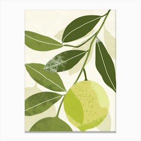 Limes Close Up Illustration 3 Canvas Print