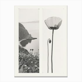 Poppy Flower Photo Collage 4 Canvas Print