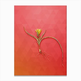 Vintage Ixia Recurva Botanical Art on Fiery Red n.2039 Canvas Print