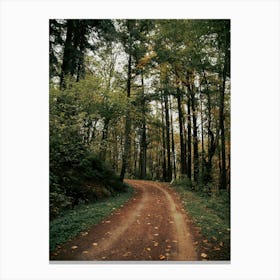 Forest Park Canvas Print