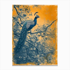 Orange & Blue Peacock In The Trees 1 Canvas Print