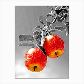 Two Apples On A Branch Canvas Print